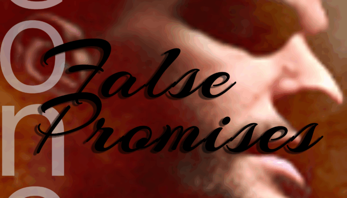 Pochette du single False Promises